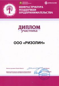diplom infrastruktura podderzhki predprinimatelstva